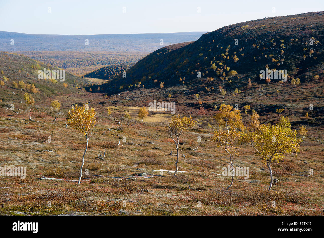 Nammakuru on a sunnu autumn day Stock Photo