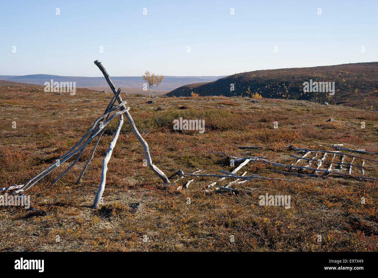 Old reindeer herding fence Stock Photo