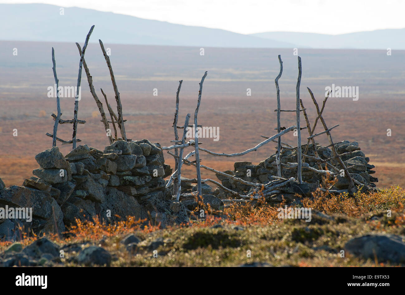 Gate of old Erttetvarri reindeer fence Stock Photo