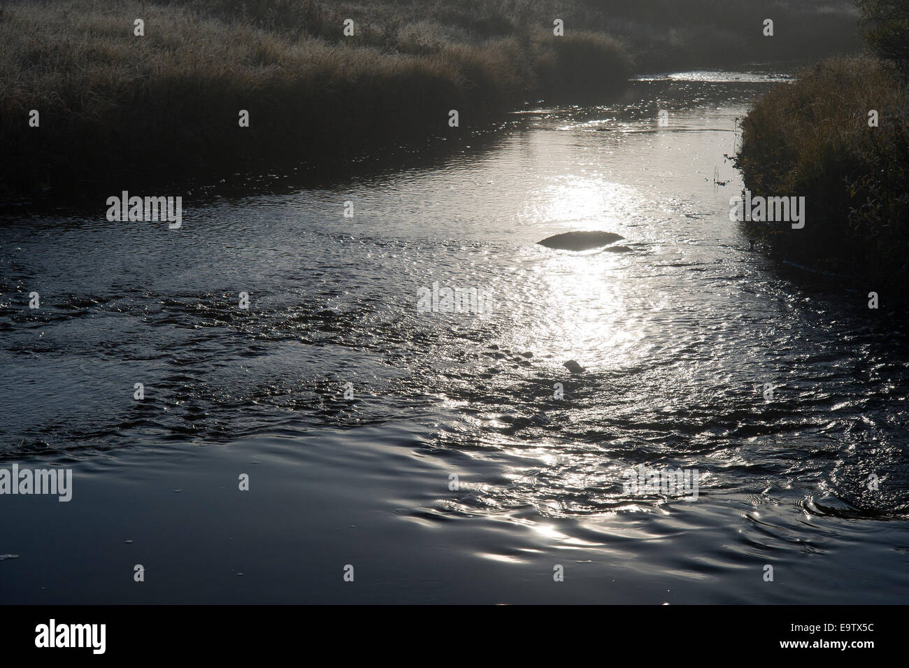 A small river at morning Stock Photo