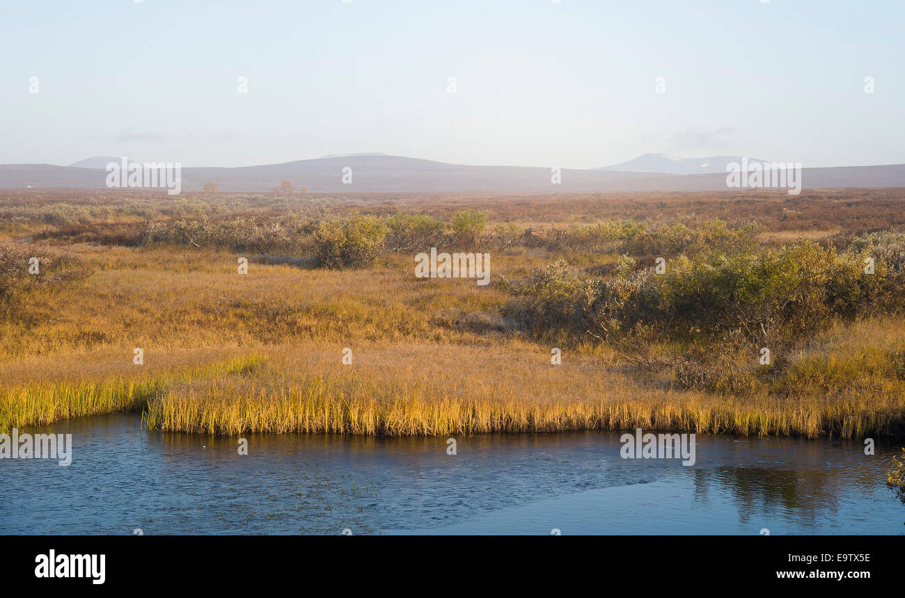 A day is clearing Stock Photo