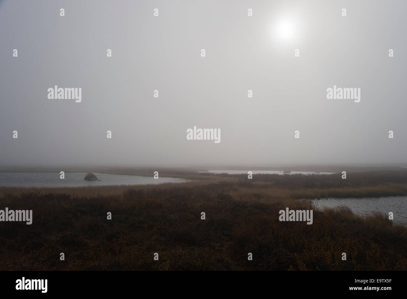 Foggy day at Linkinjänkä mire Stock Photo