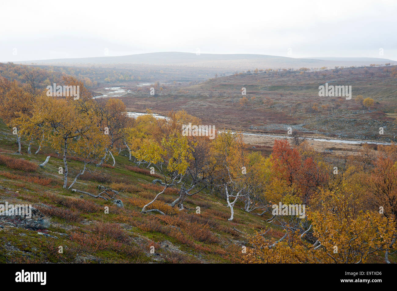 A colorful river bank at autumn Stock Photo
