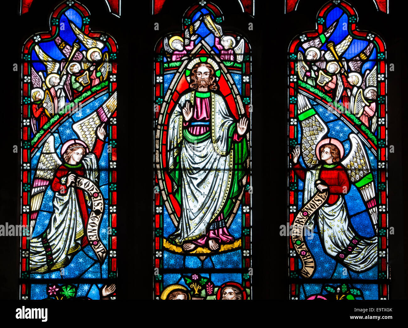 st john ascension billing