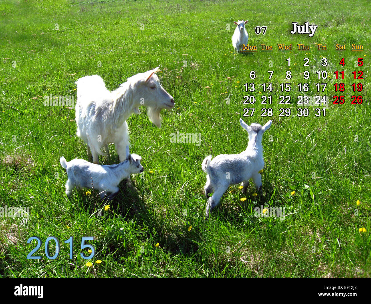Week Calendar Kids Stock Photos Week Calendar Kids Stock - 