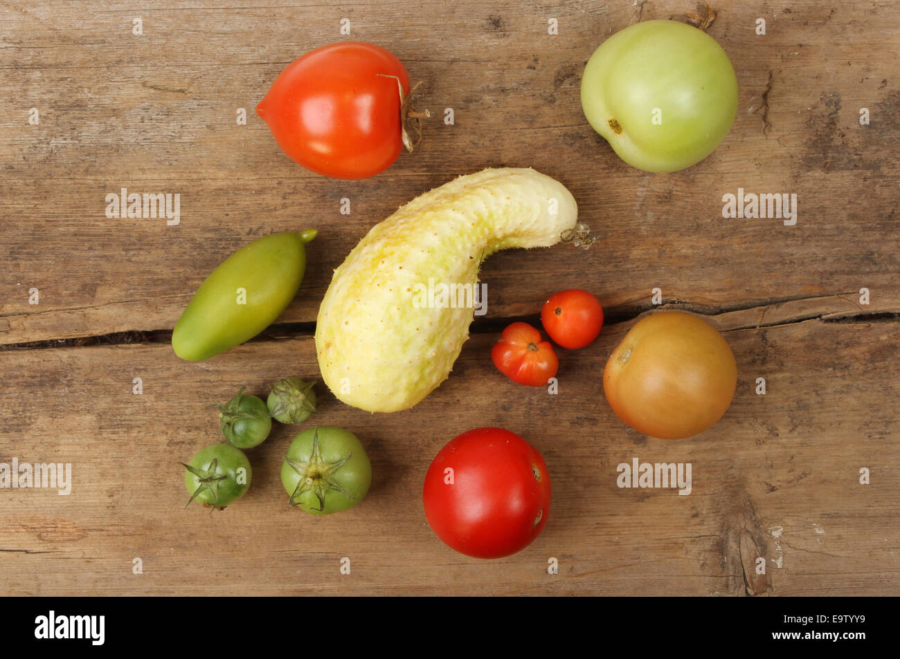 Selection of ripe and unripe homegrown tomatoes and cucumber on a wooden board Stock Photo