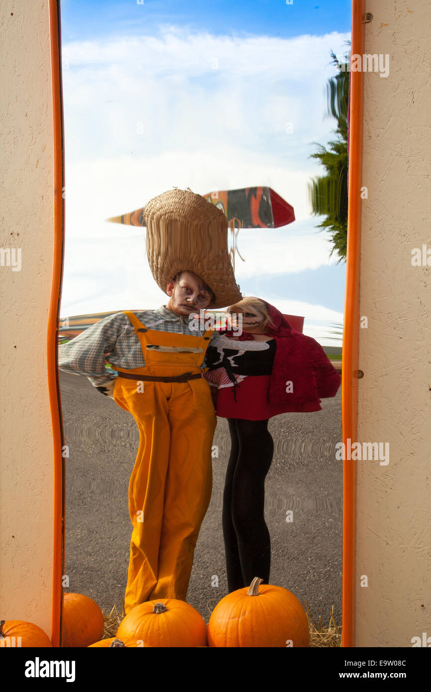 Fun and interesting reflected images of two people with pumpkins, in distorting convex & concave mirrors giving repetitive reflections; a crazy  optical illusion in a funhouse mirror. The funny face distorted person reflections of the subject using a curved mirror is a traditional source of amusement in the fairground Hall of Mirrors. Stock Photo