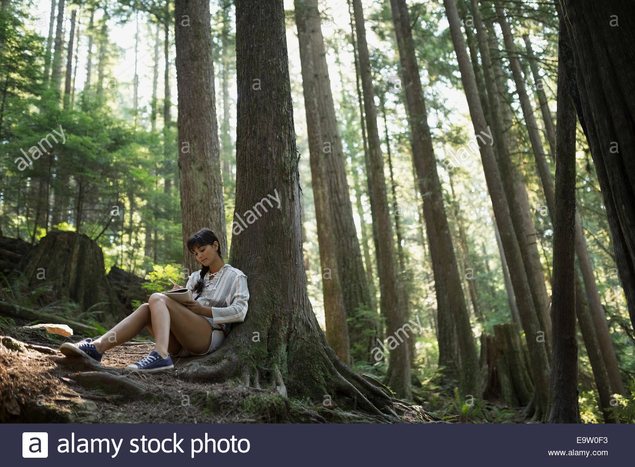 Woman writing in journal against tree in woods Stock Photo