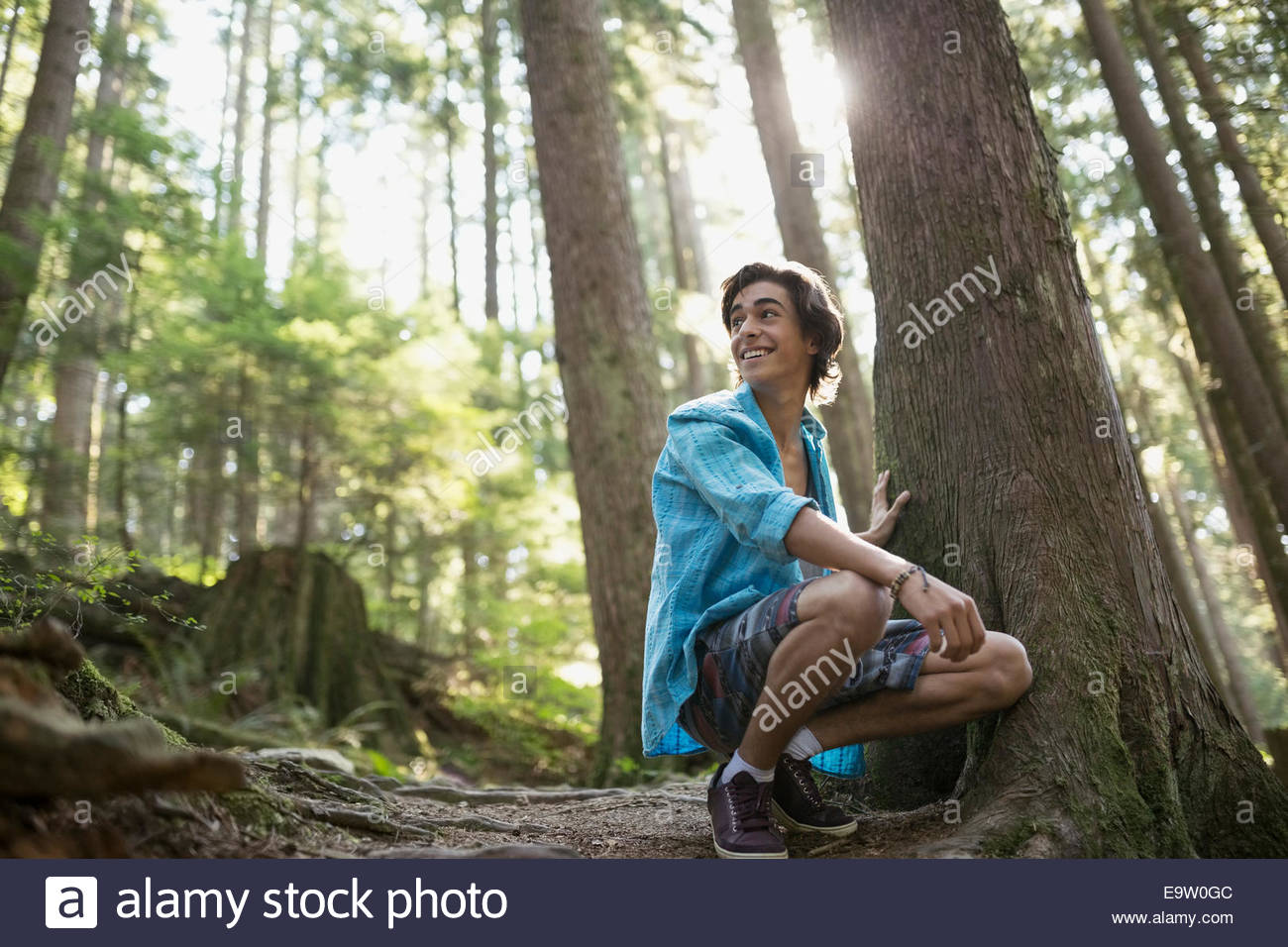 Teenage boy crouching by tree in woods Stock Photo