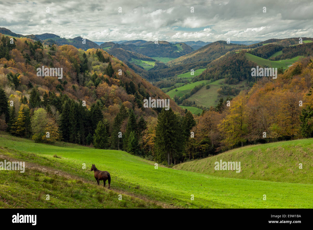 Autumn in Thal Natural Park, Jura Mountains, Switzerland. Stock Photo