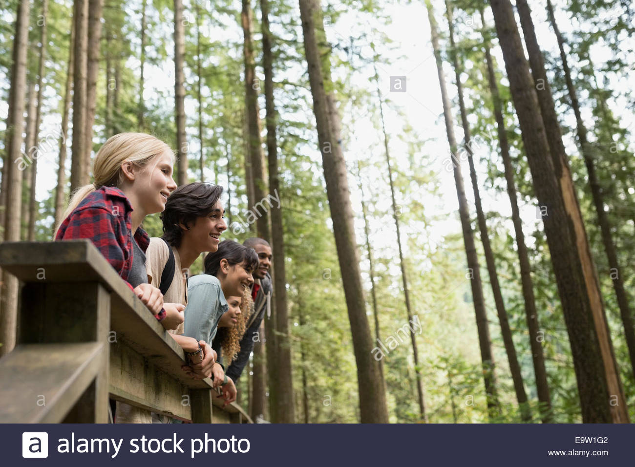 Friends in a row on footbridge in woods Stock Photo