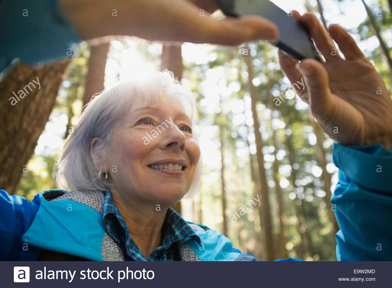 Senior woman using camera phone in woods Stock Photo