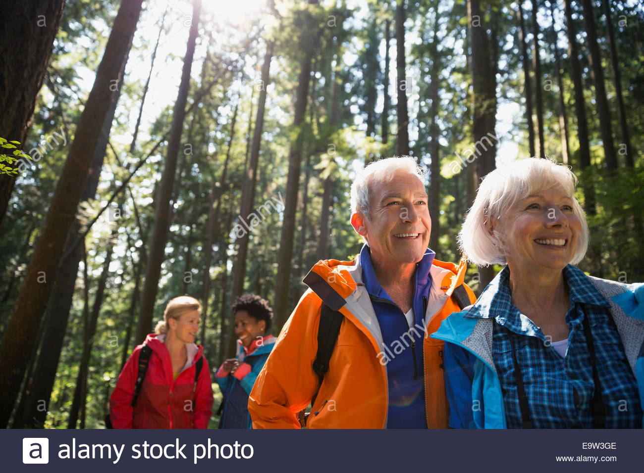 Senior couple hiking in sunny woods Stock Photo