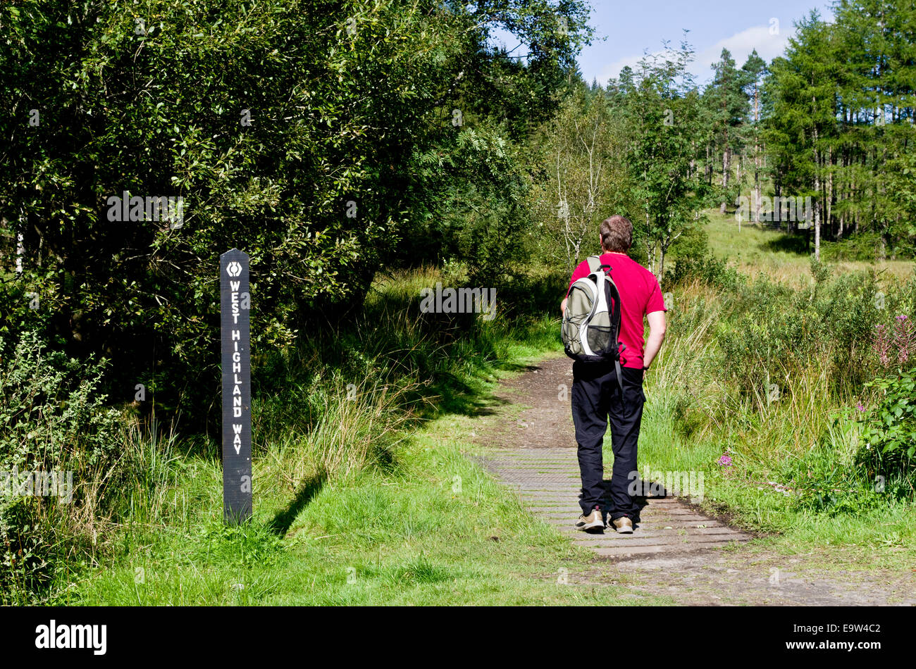 Caucasian Male Walker Walking the West Highland Way, Bridge of Orchy