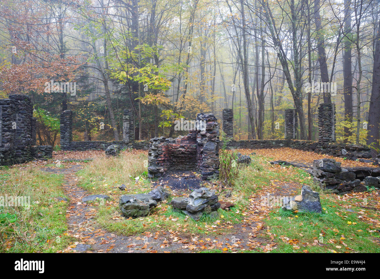 Madame Sherri’s castle ruins in Madame Sherri Forest of