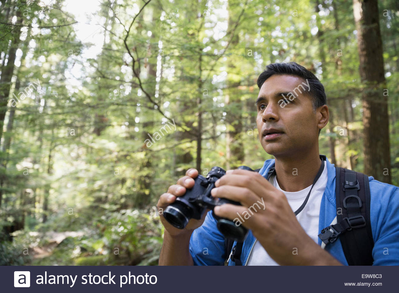Man with binoculars in woods Stock Photo