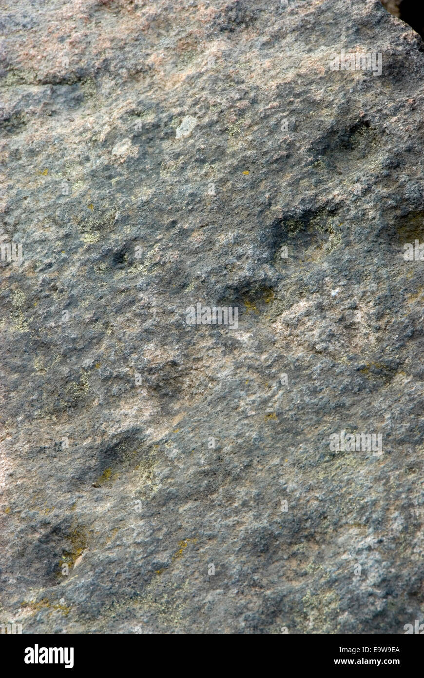 Kyburz Petroglyphs, Kyburz Flat Interpretive Area, Yuba-Donner Scenic Byway, Tahoe National Forest, California Stock Photo