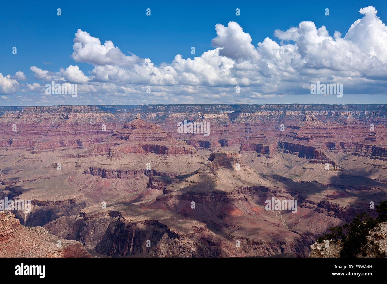 Grand Canyon panoramic view from the South Rim Stock Photo - Alamy