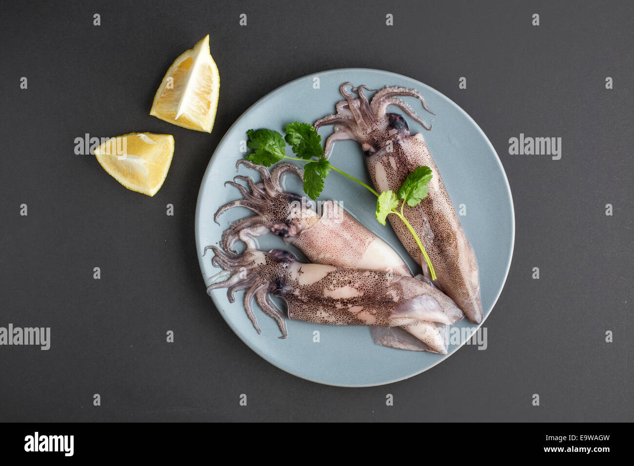 Raw squids on a plate editorial food Stock Photo
