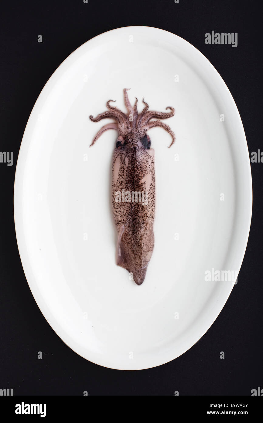 Raw squid on a white plate editorial food Stock Photo