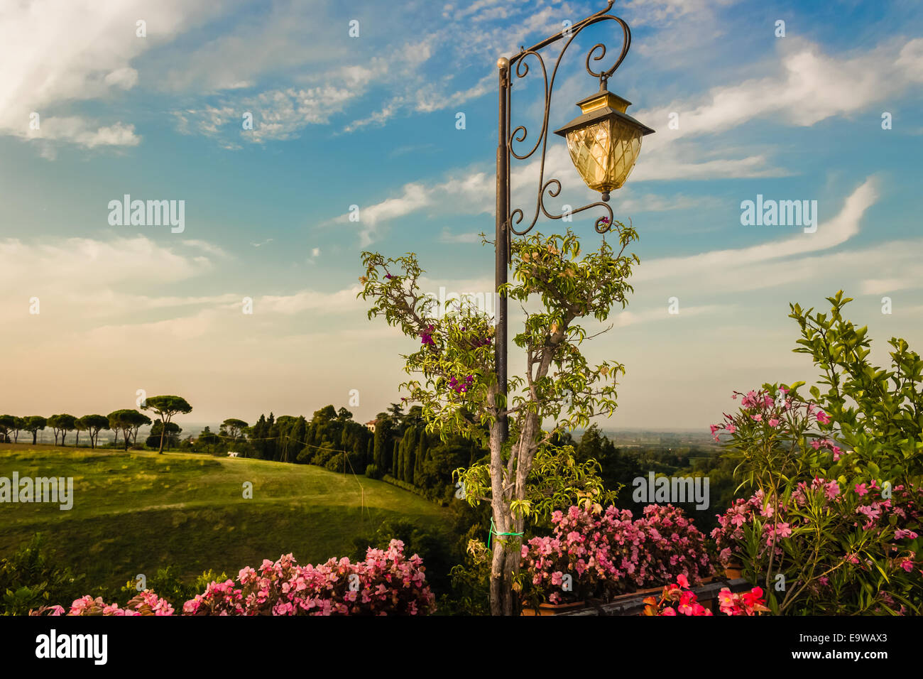 Lamp, Flowers, green weeds, leaves, plants and trees on colorful sunset on vineyards backgrounds on cultivated hills in Italian Stock Photo