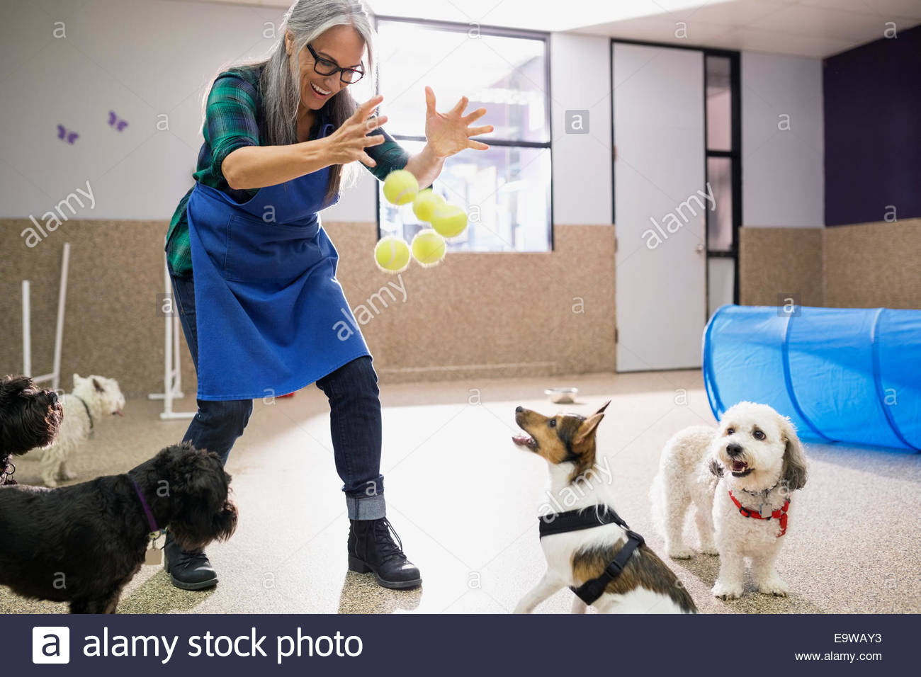 Are Ball Throwers Bad For Dogs