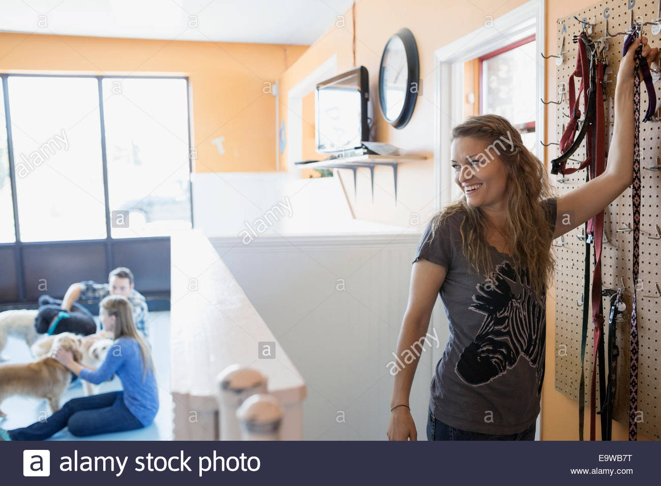 Dog daycare owner reaching for leash Stock Photo