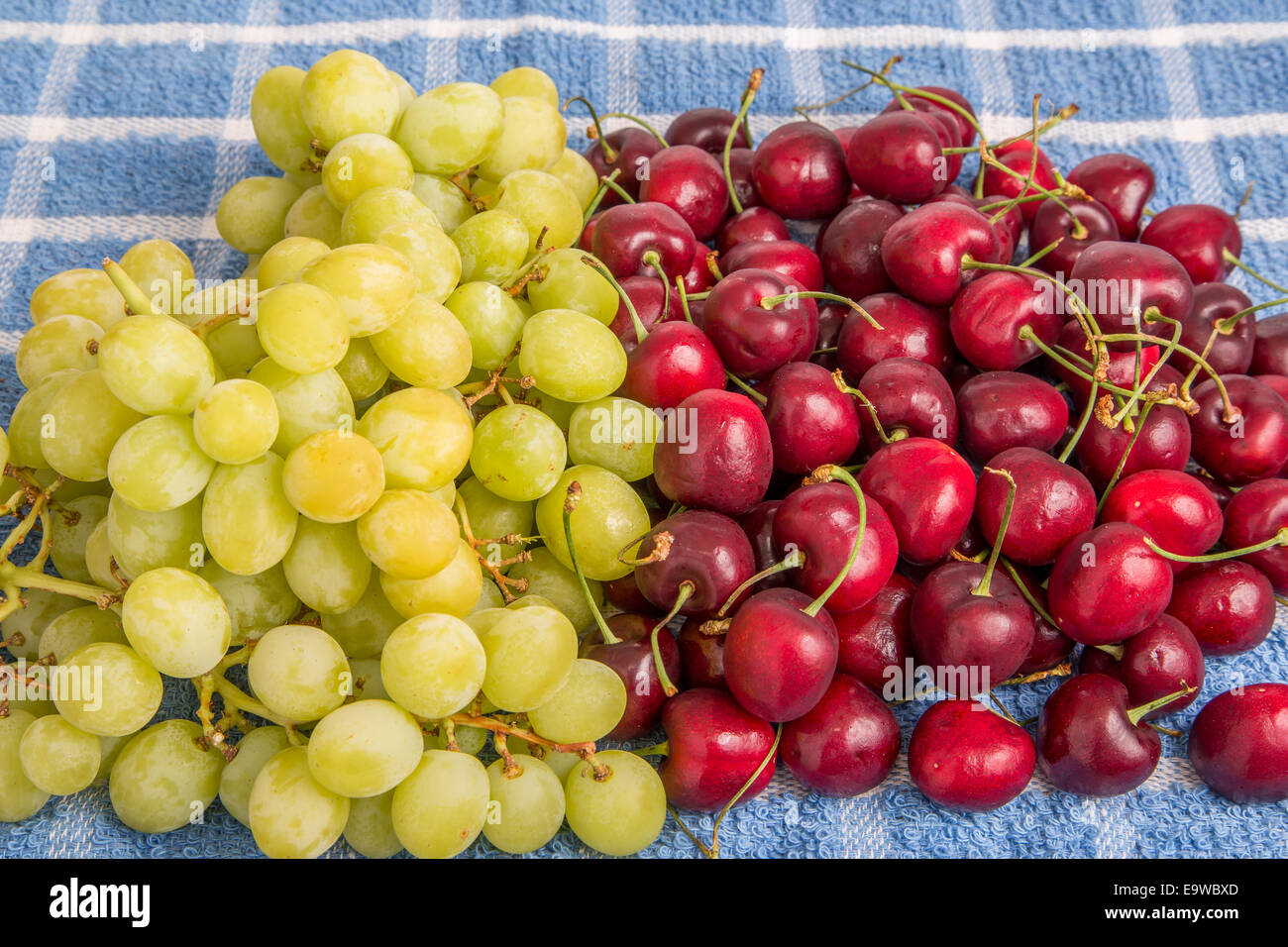 Green seedless grapes and red, ripe cherries on a blue towel Stock