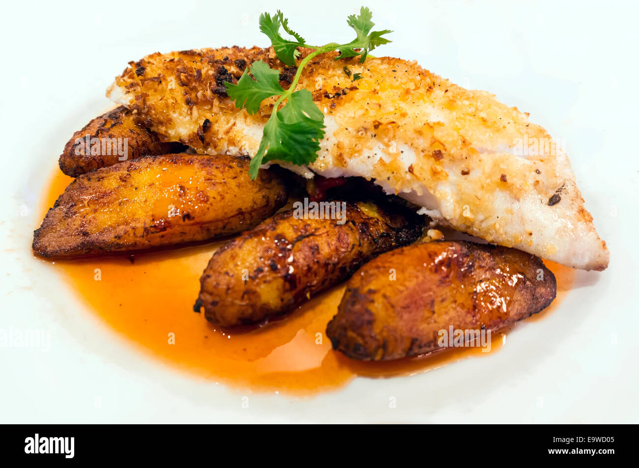 Macadamia coconut crusted Snapper, grilled pineapple salsa, sweet plantains and red pepper essence topped with green parsley. Stock Photo