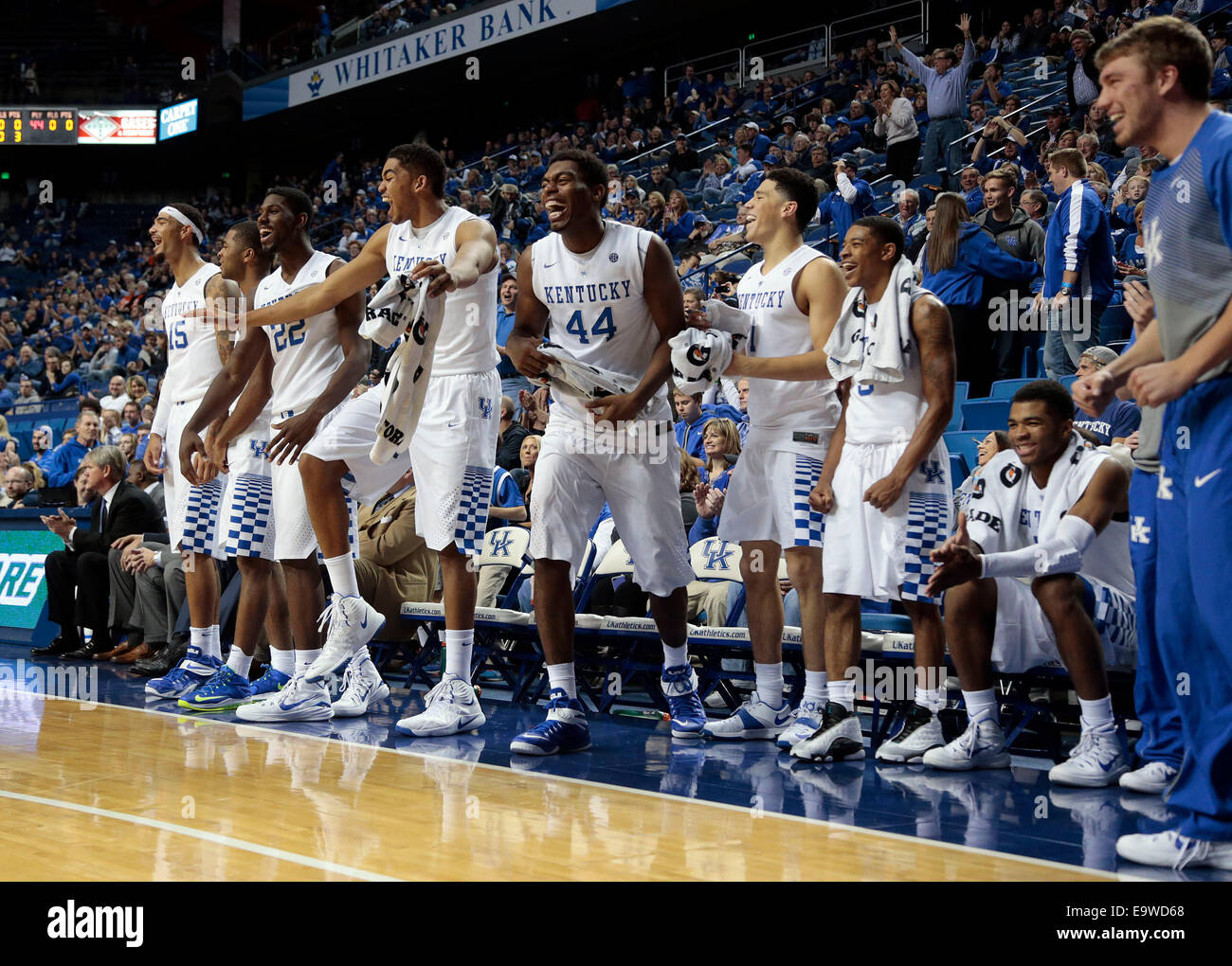 Nov. 2, 2014 - Lexington, KY, USA - the UK bench erupted near the end of the game as the University of Kentucky played the University of Pikeville in Rupp Arena in Lexington, Ky., Sunday, November 2, 2014. This is second half preseason exhibition basketball. UK won 116-68. Photo by Charles Bertram | Staff. (Credit Image: © Lexington Herald-Leader/ZUMA Wire) Stock Photo