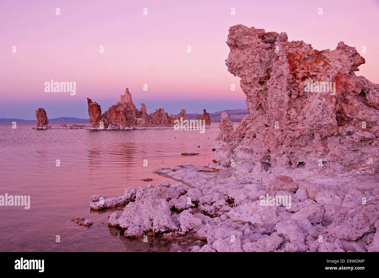 Mono Lake tufa tower formations at dusk, Lee Vining, California. Stock Photo