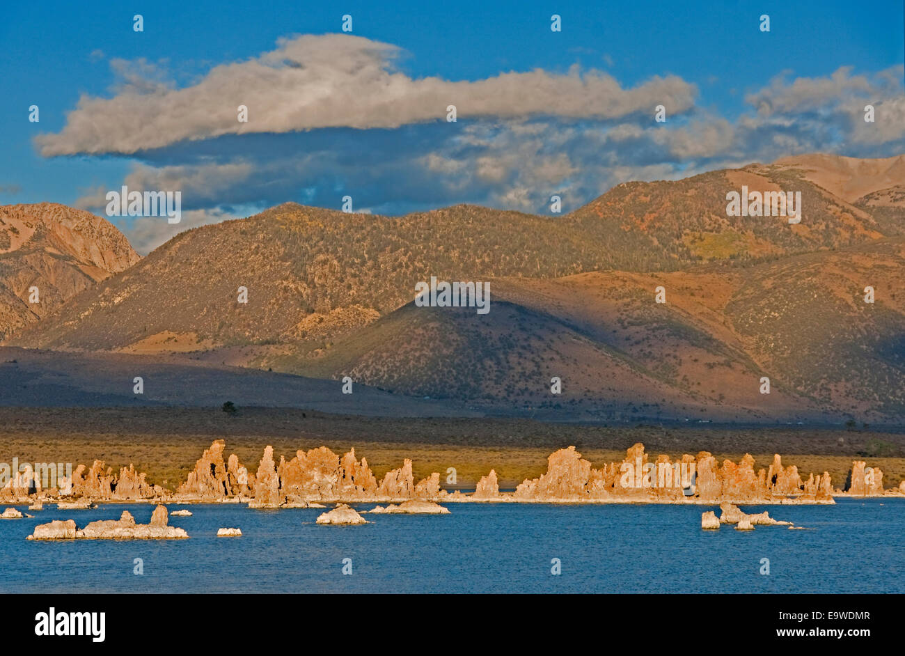 Mono Lake tufa formations at dawn with eastern Sierras foothills in background. Stock Photo