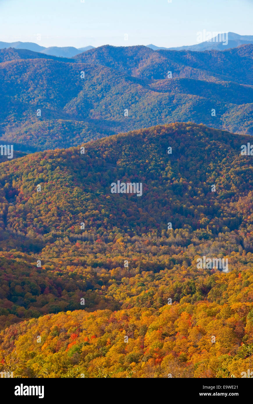 Autumn color from a Blue Ridge Parkway overlook in southern Appalchians near Asheville, North Carolina. Stock Photo