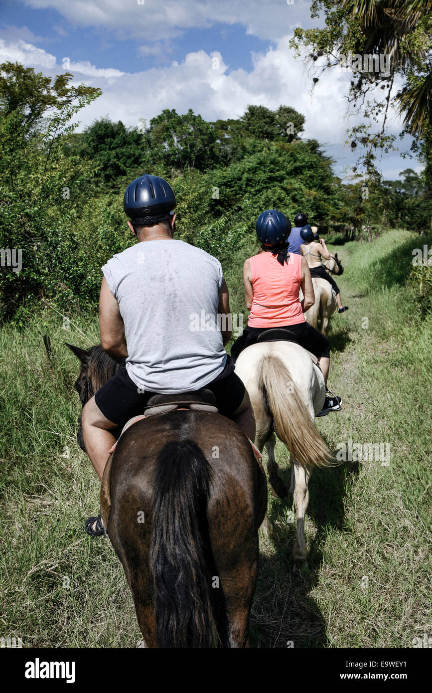 Horseback riding, Jamaica Stock Photo