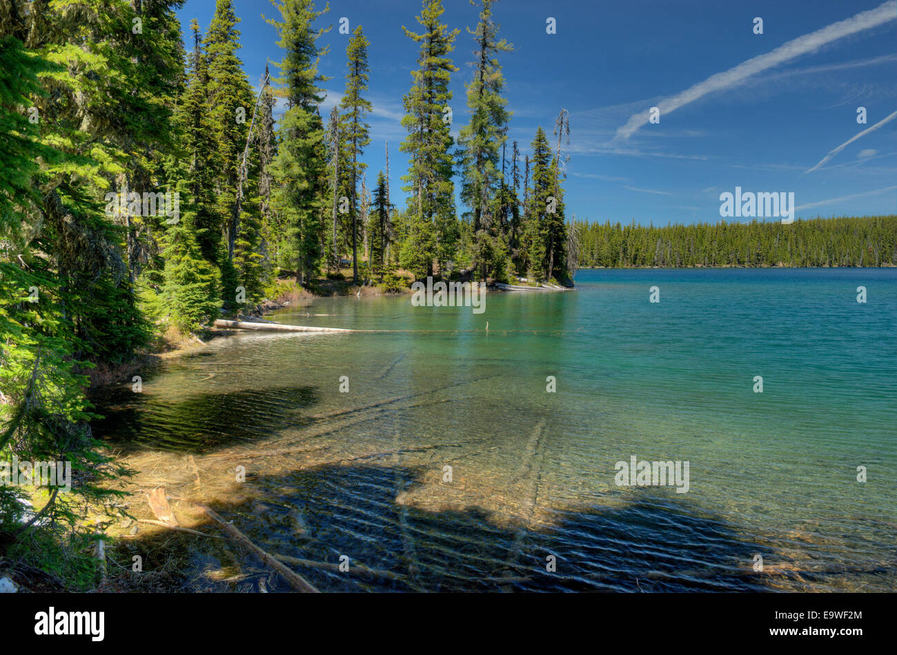 The south shore of Charlton Lake in the Deschutes National Forest, Oregon Stock Photo