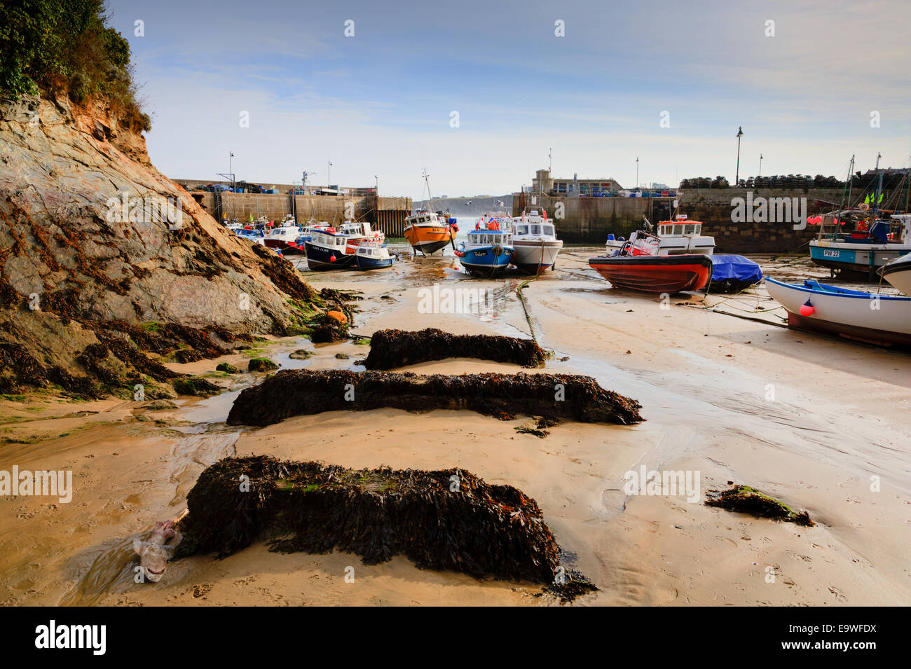 Newquay harbour North Cornwall England UK with seaweed boats and sandy beach at low tide Stock Photo