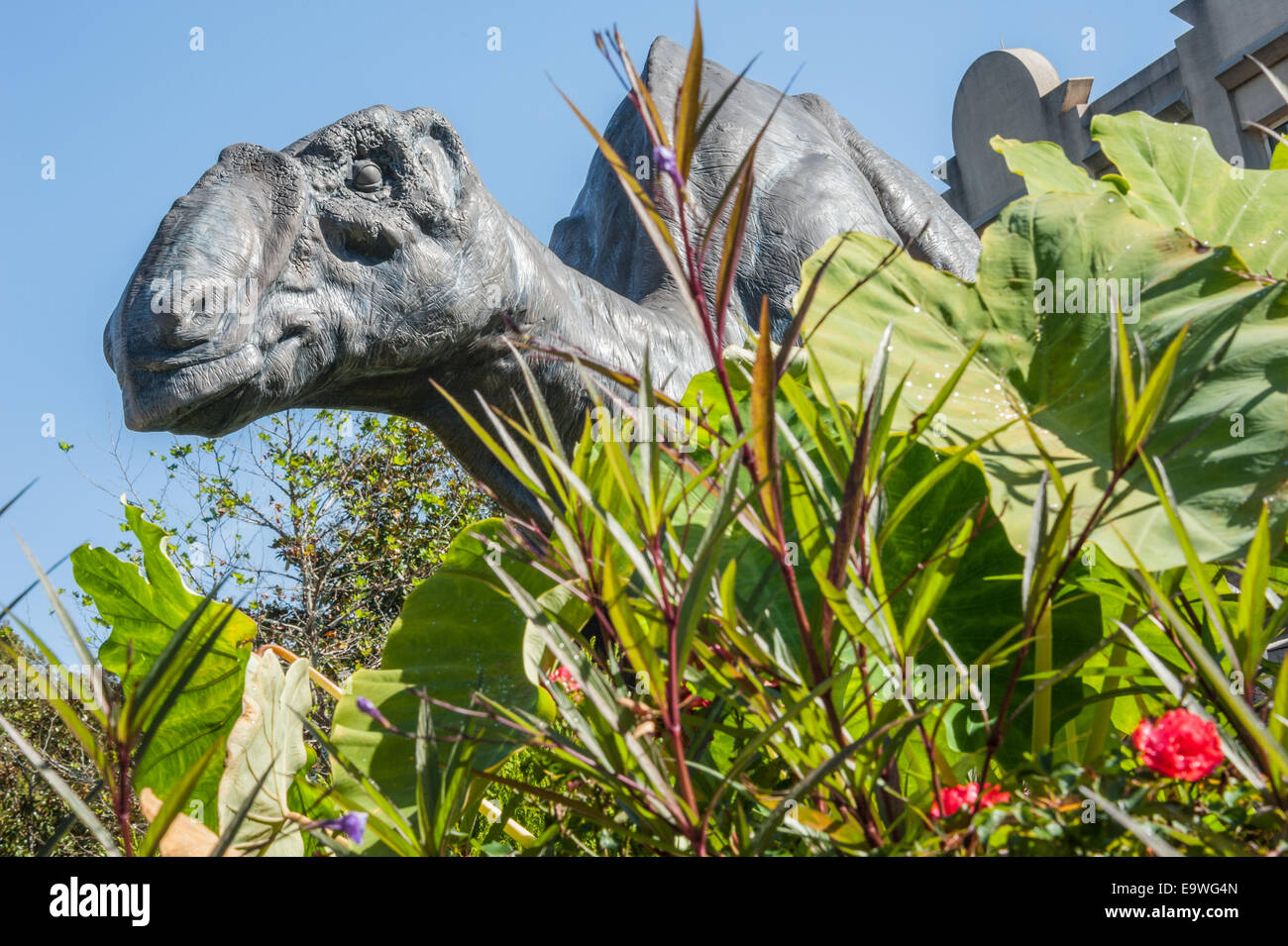 Large dinosaur sculpture peers over leafy vegetation at the Fernbank
