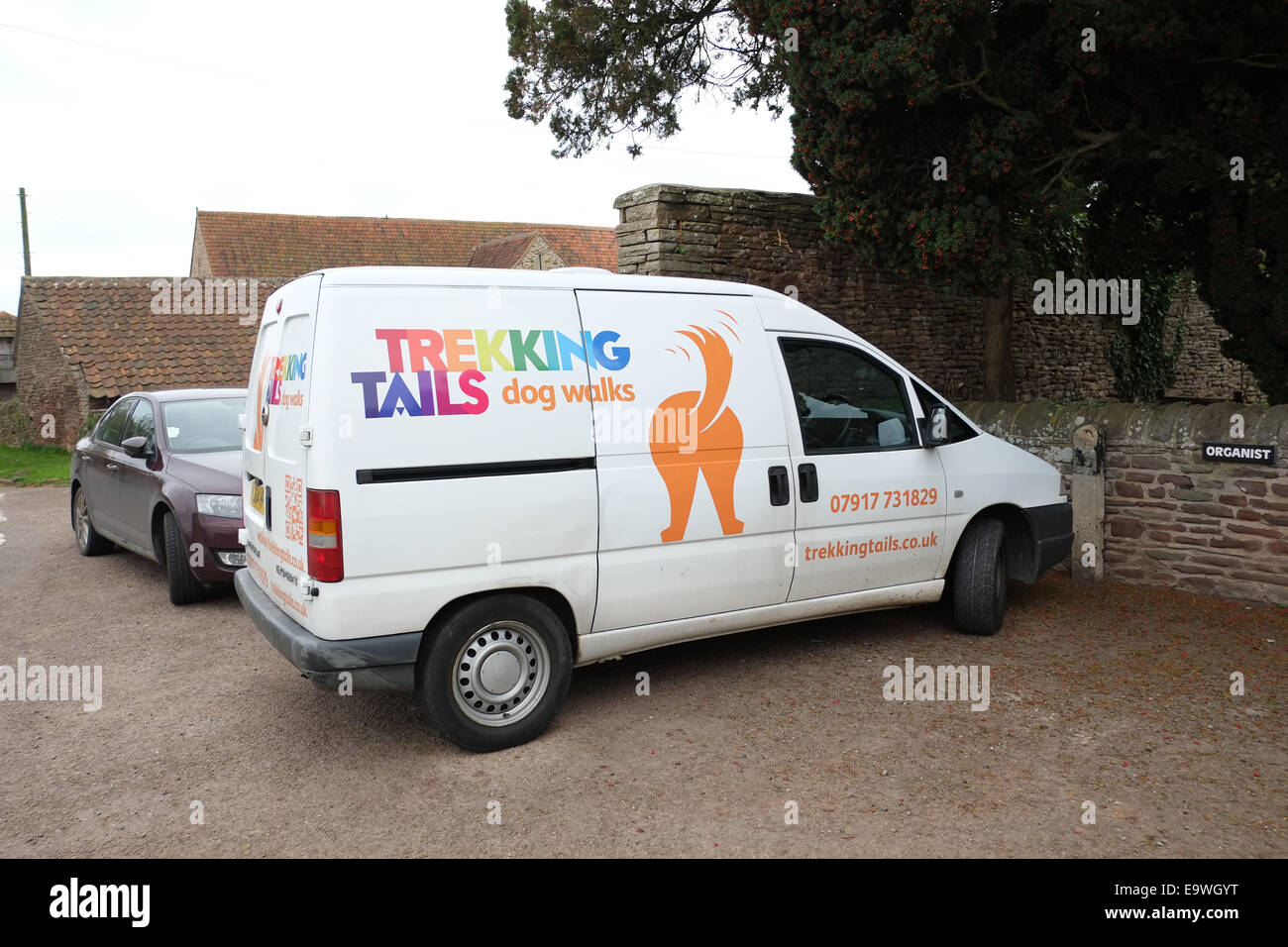 Van dog walking service in hi-res stock photography and images - Alamy