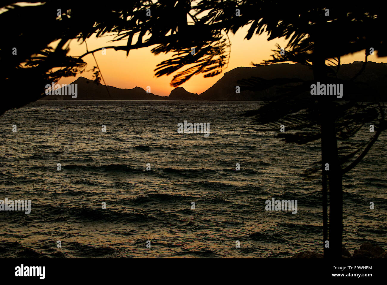 Tree rock in sunset hi-res stock photography and images - Alamy