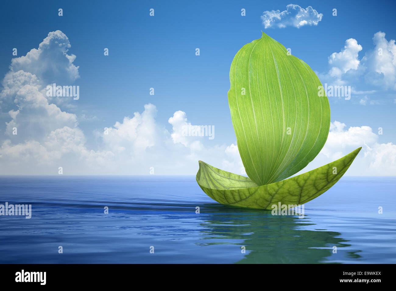 sailboat made of green leaves is floating on the water. Stock Photo