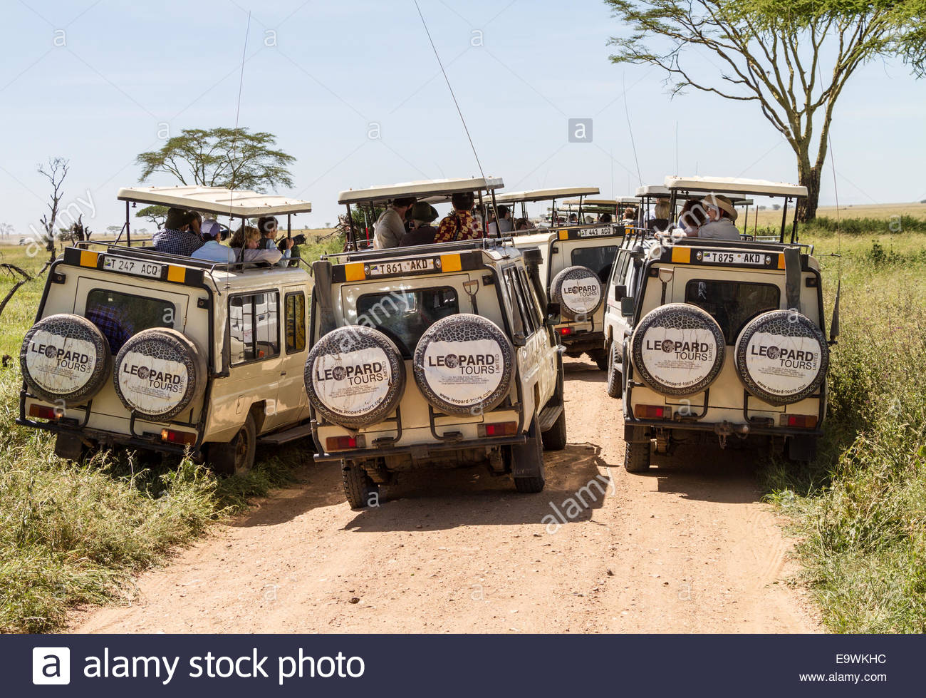 Tourist in off road vehicle East Africa Tanzania Stock Photo