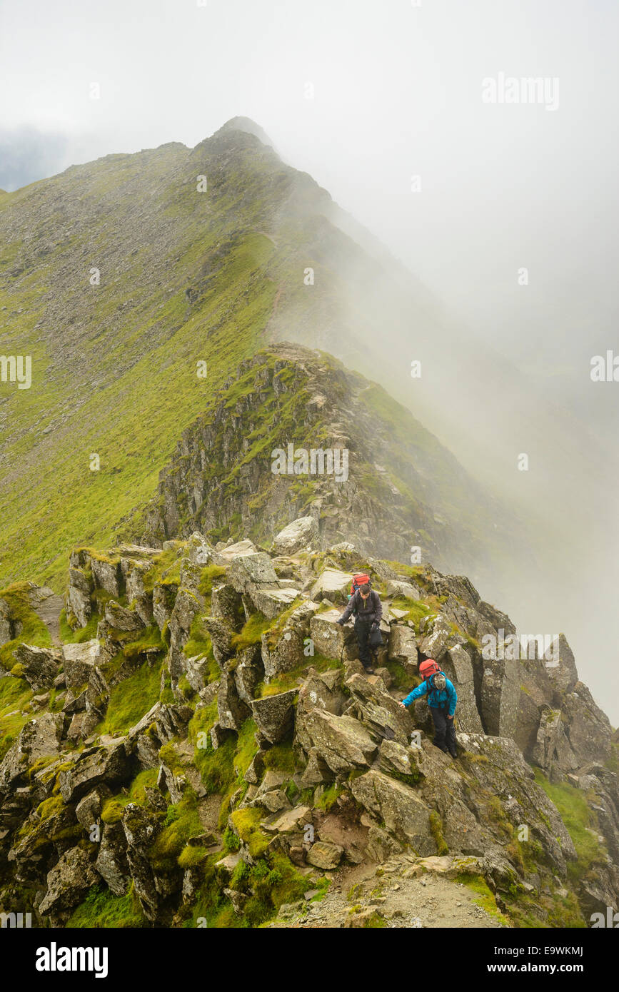 Walkers climbing Helvellyn  from Striding Edge in the Lake District Stock Photo