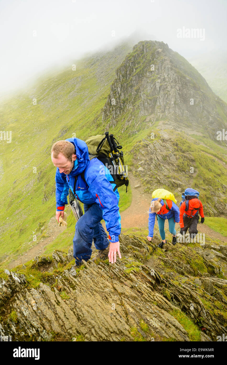 Walkers climbing Helvellyn  from Striding Edge in the Lake District Stock Photo