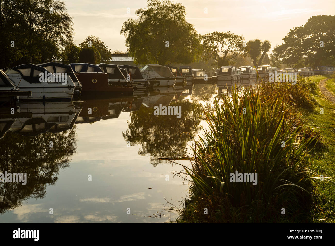 Boats moored along the Lancaster Canal near Garstang Lancashire Stock Photo