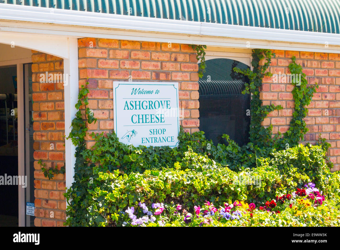 Ashgrove cheese farm and retailer in north east Tasmania,Australia