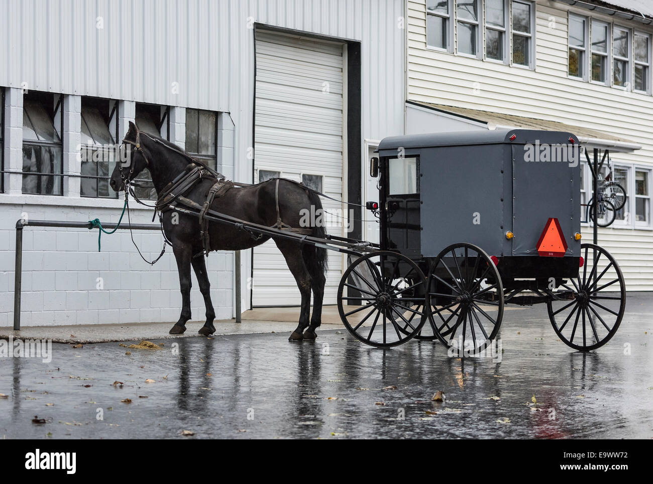 Amish horse and buggy, Lancaster County, Pennsylvania, USA Stock Photo