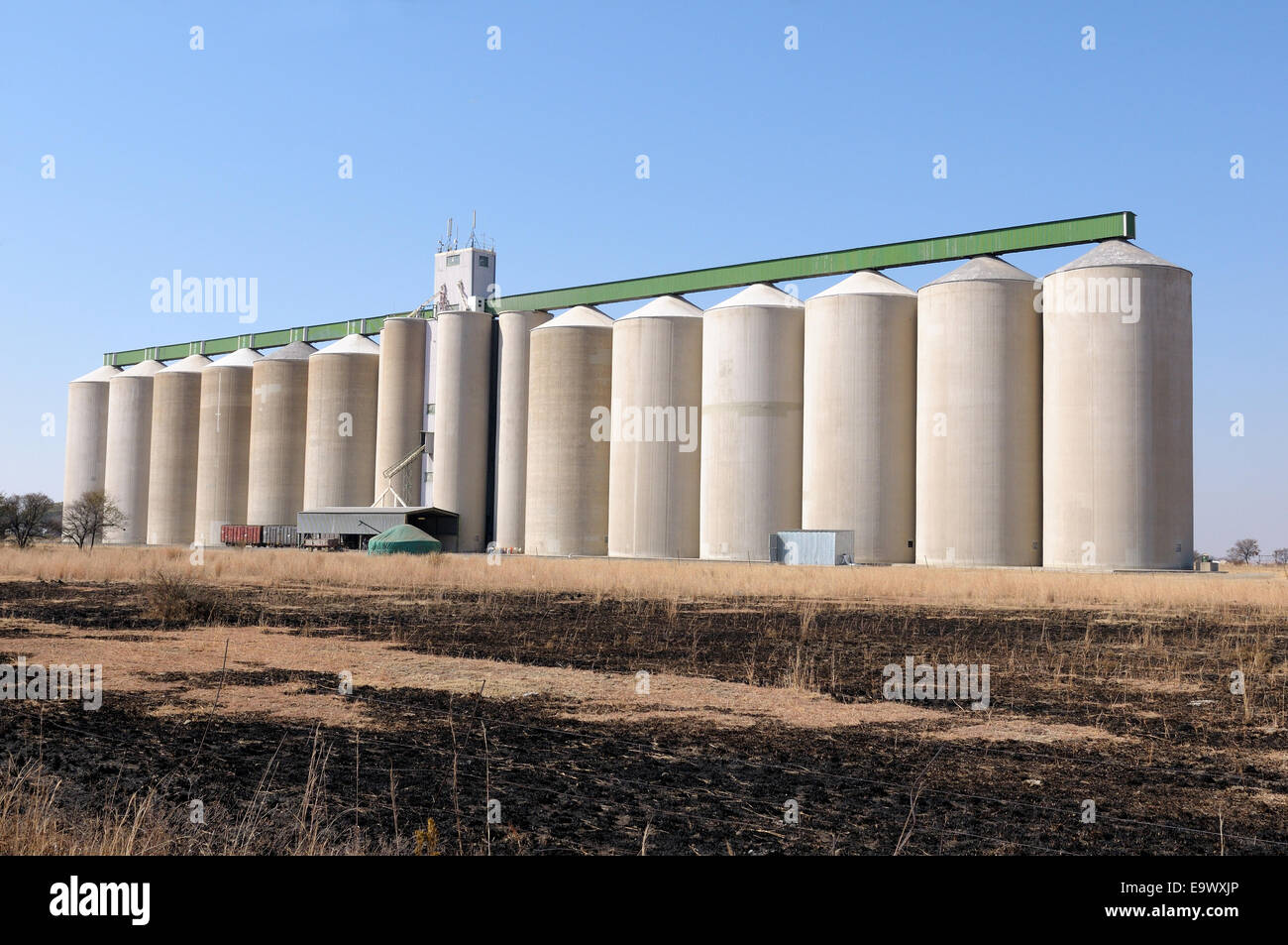 Grain silo at Koppies in the Free State Province of South Africa Stock Photo