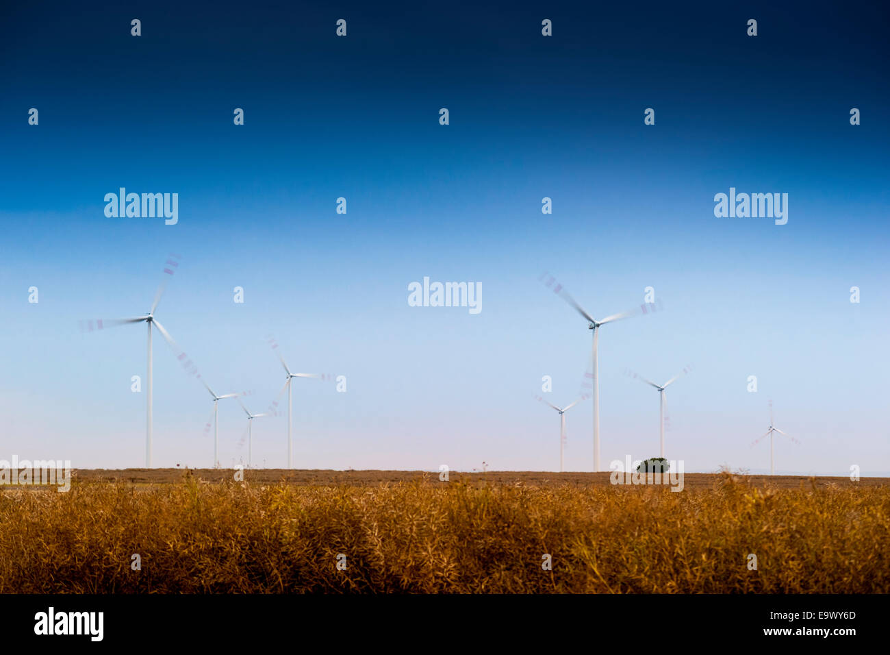 Windfarm - wind turbines rotating on the field at dusk. Stock Photo