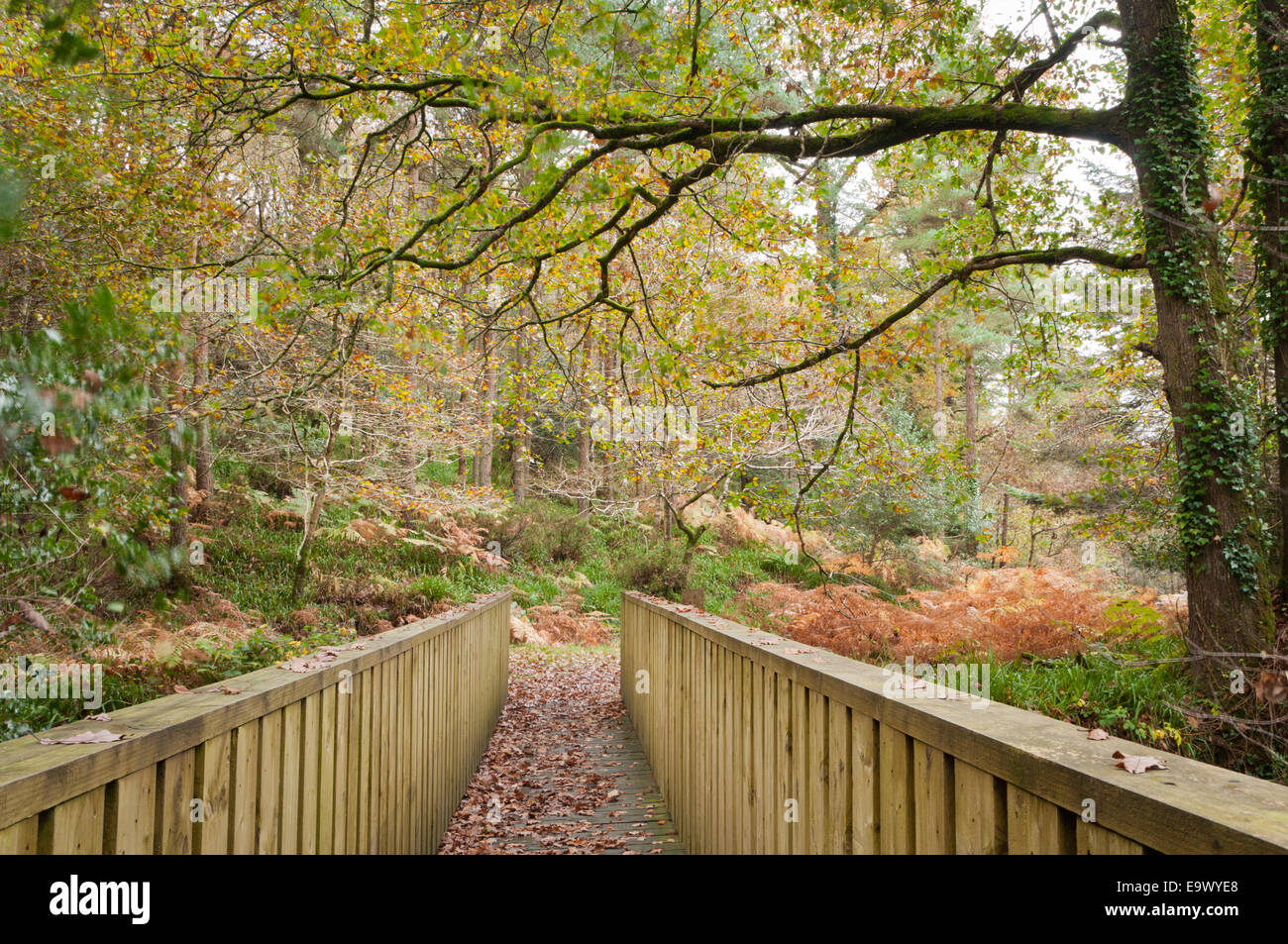 Pedestrian wooden bridge hi-res stock photography and images - Alamy