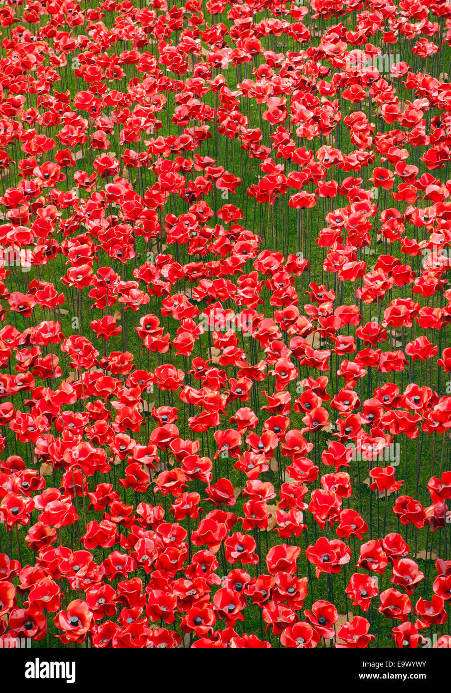 Tower of London poppies. Stock Photo